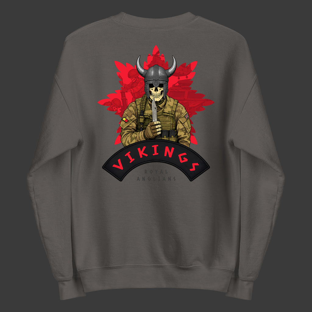 Vikings RA Sweatshirt